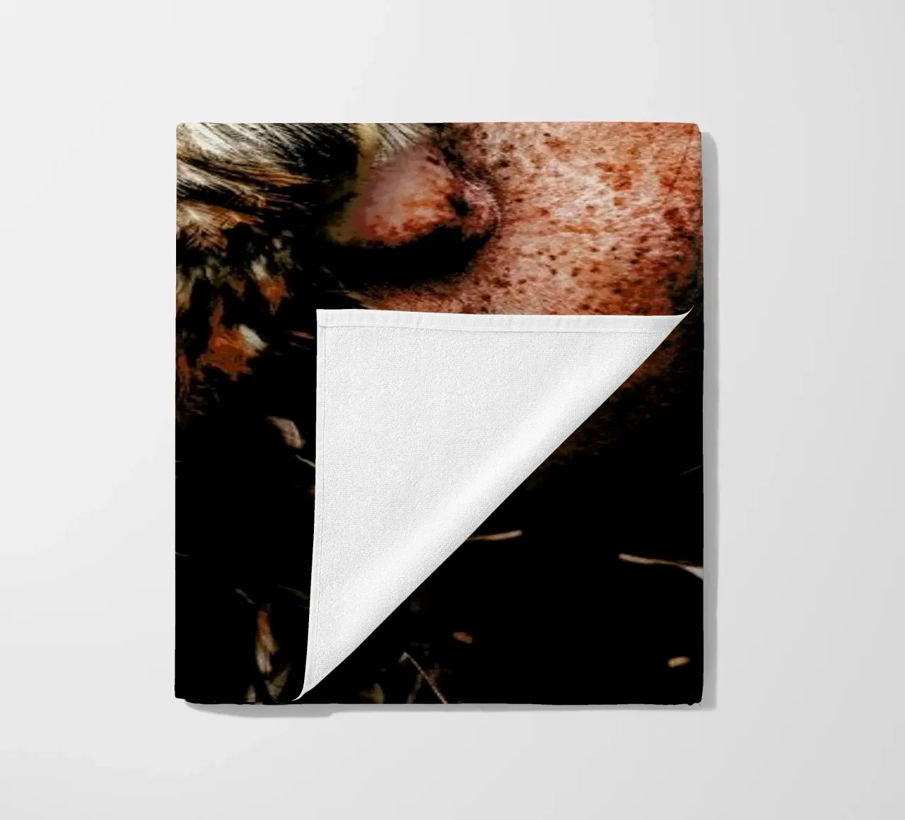 Redhead telo mare da Wouter Rikken