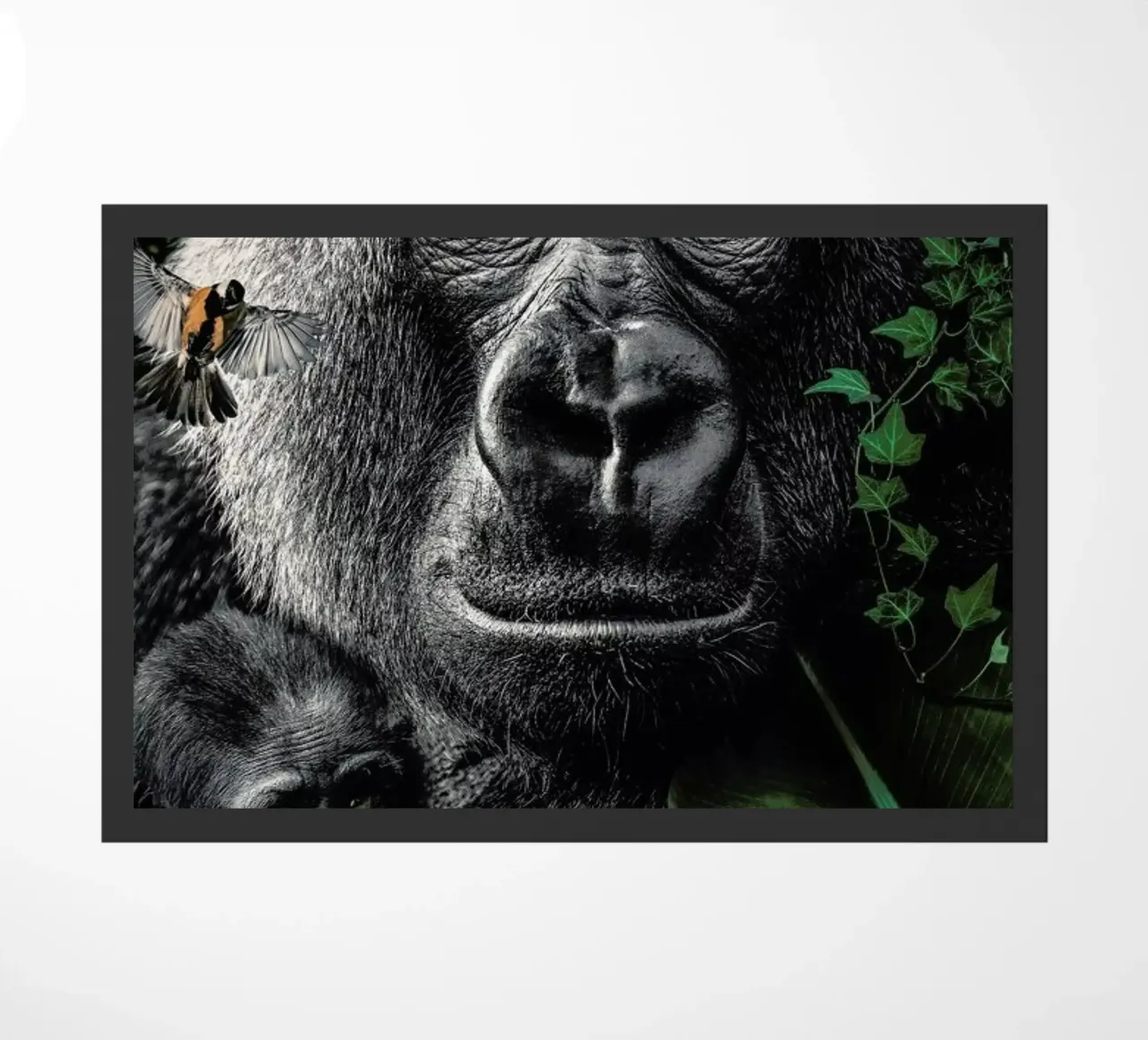 Gorilla zerbino da Wouter Rikken