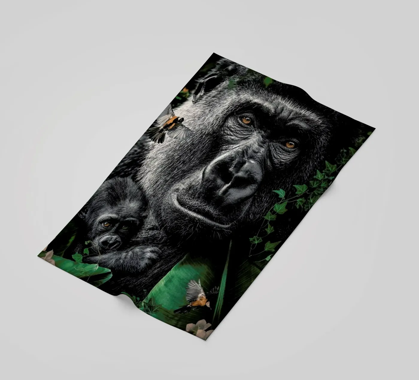 Gorilla telo mare da Wouter Rikken