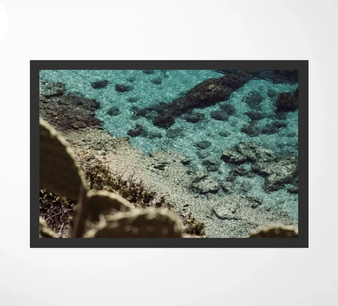 Botanical Italian coast zerbino da photolovers