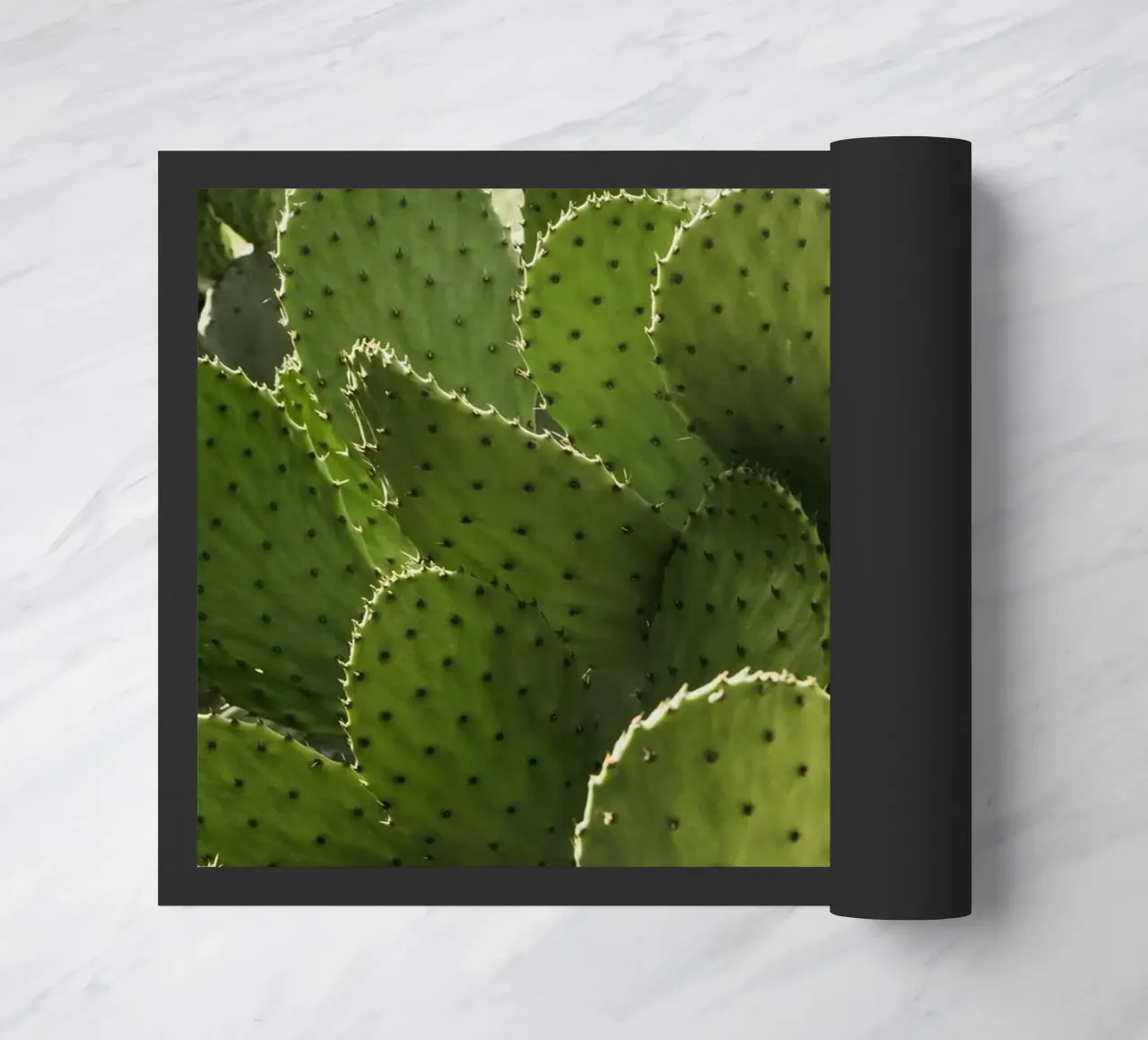 Cactus in Calabria zerbino da photolovers