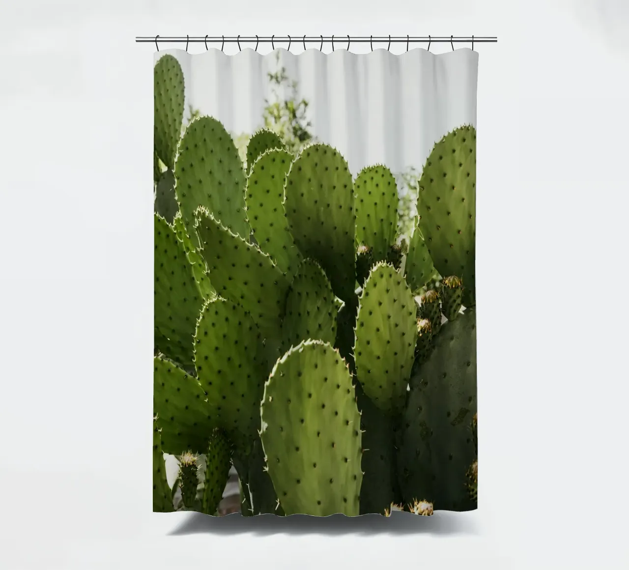 Cactus in Calabria tenda da doccia da photolovers