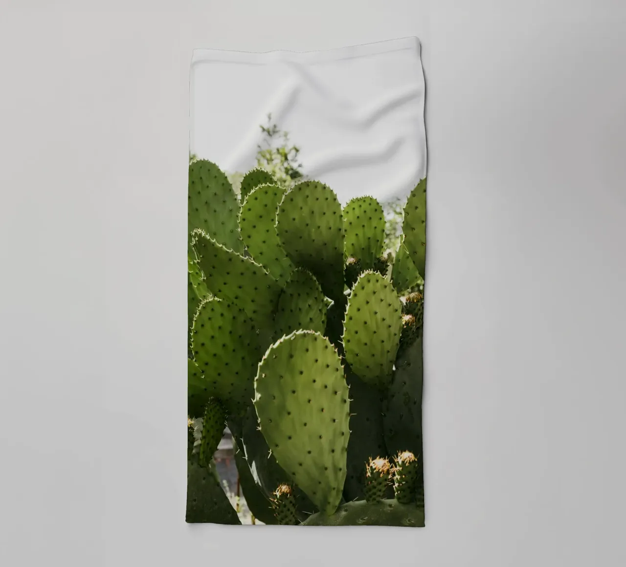 Cactus in Calabria asciugamano da bagno da photolovers