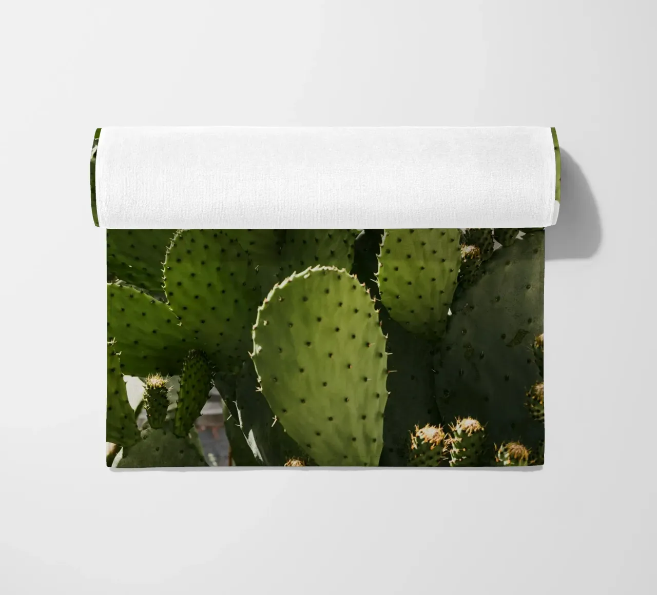 Cactus in Calabria telo mare da photolovers