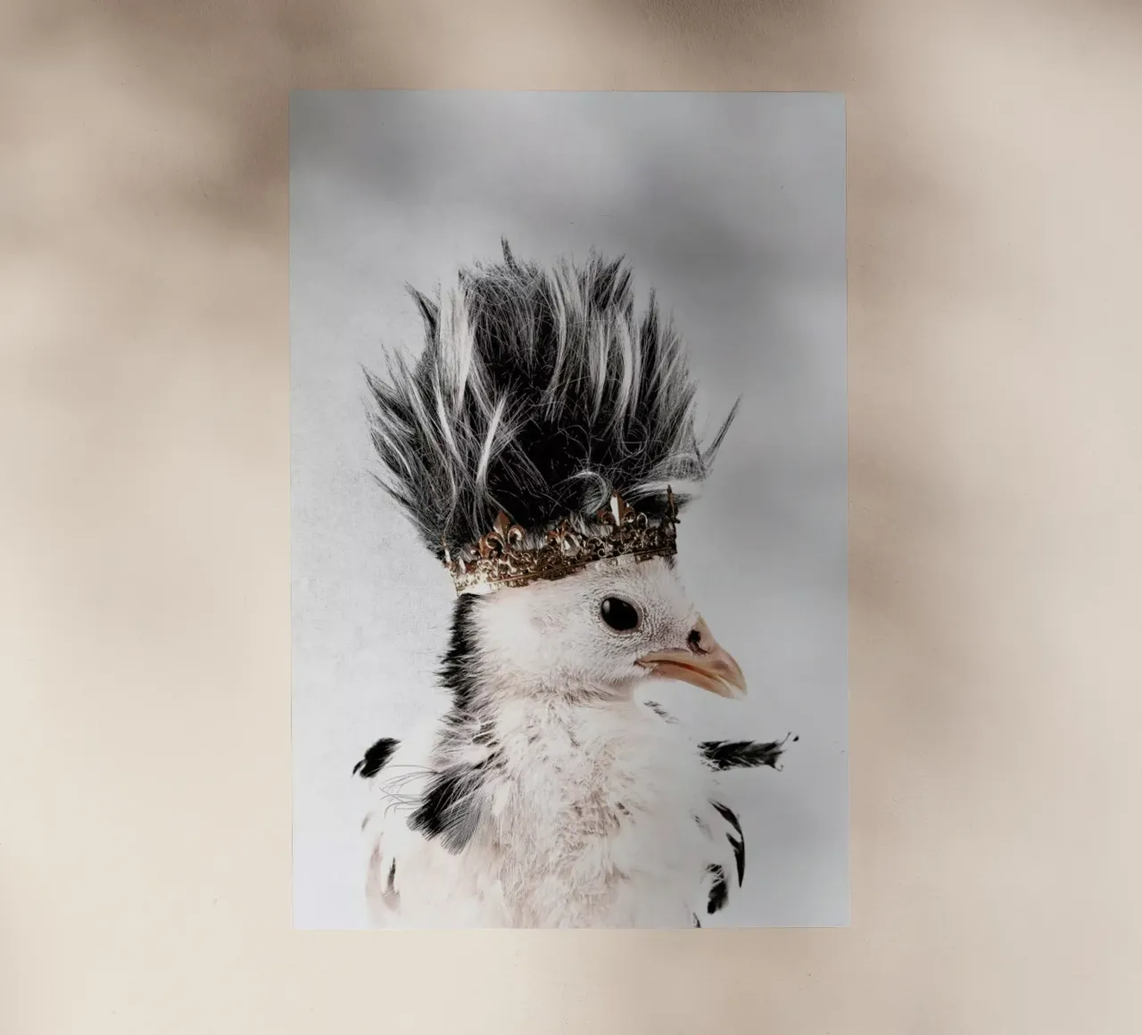 Little Chick pellicola backlit da Wouter Rikken