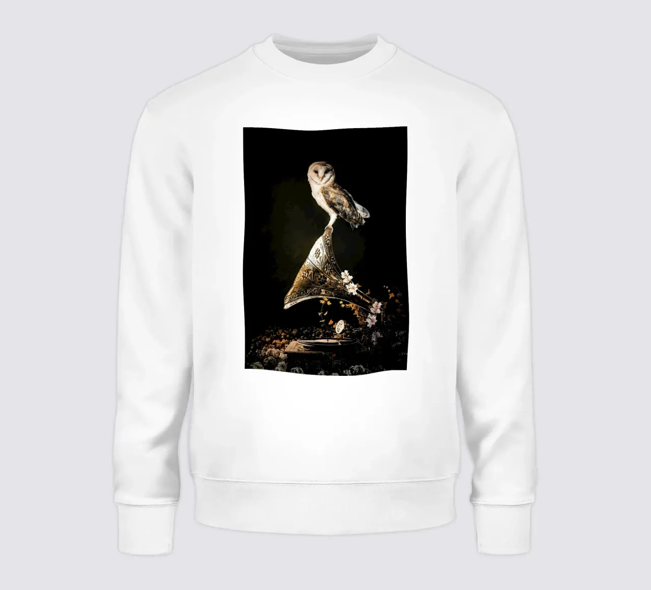 Grammophone Owl sweatshirt by Wouter Rikken