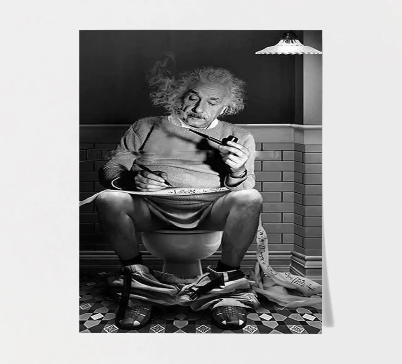 Albert On Toilet planche autocollant de christal shop