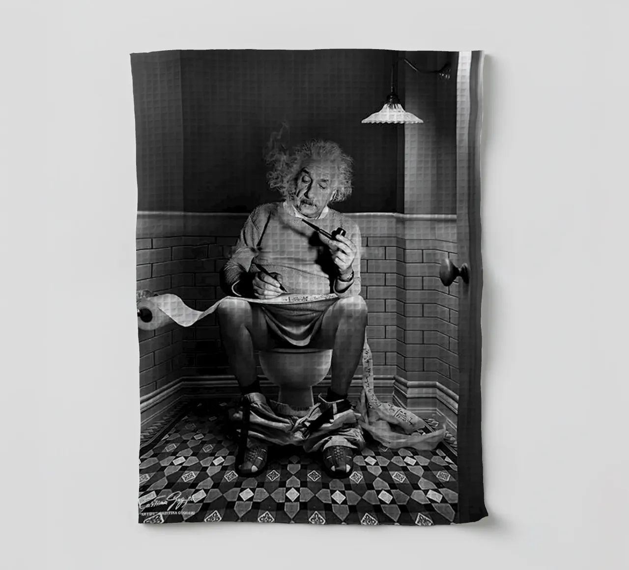 Albert On Toilet torchon de christal shop