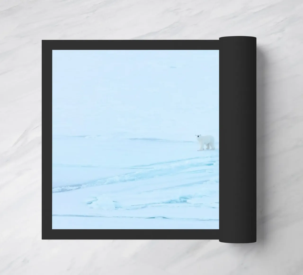 neve artica zerbino da Bleu