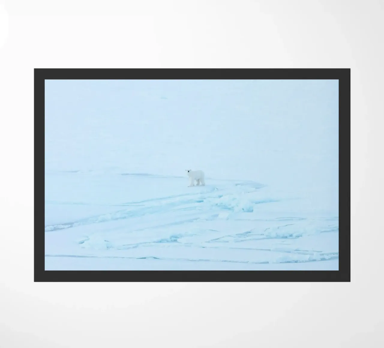 neve artica zerbino da Bleu