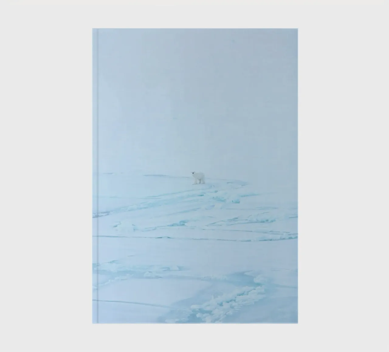arctic snow notebook by Bleu
