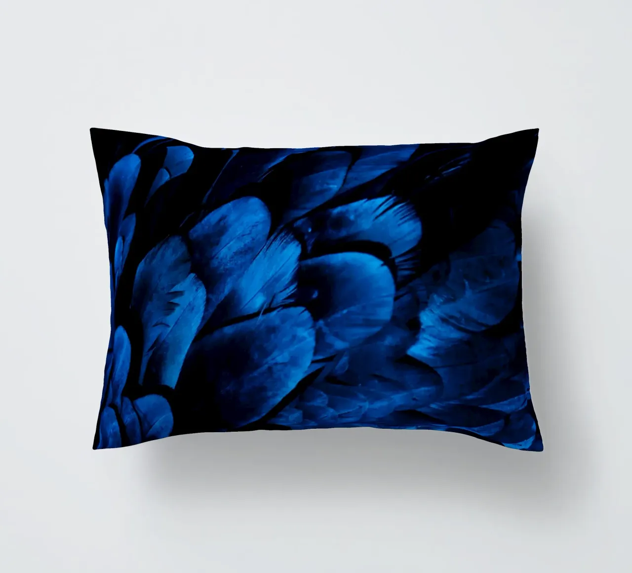 lucentezza del modello cuscino da Bleu