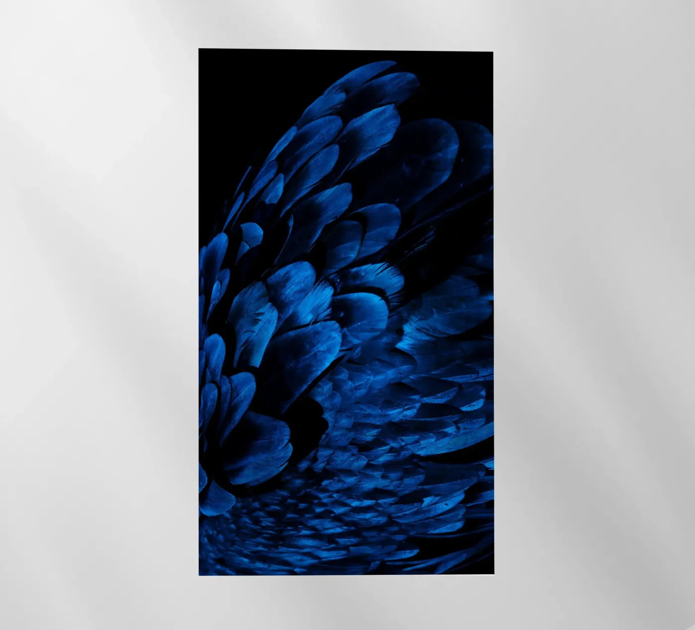 Musterglanz Backlit Folie von Bleu