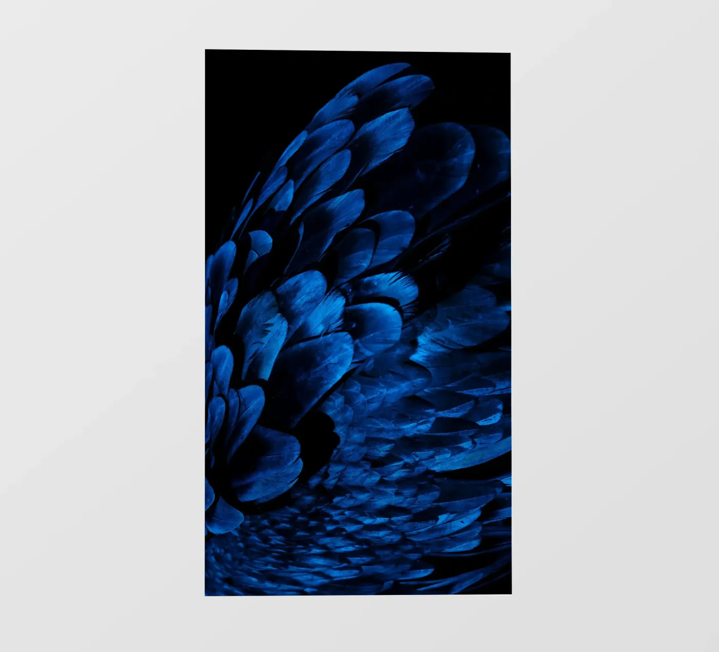 patroon glans backlit folie van Bleu