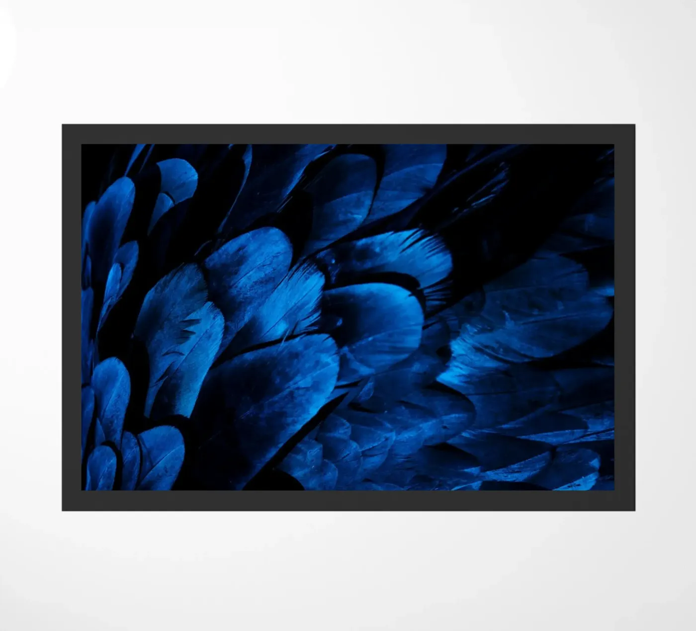 lucentezza del modello zerbino da Bleu