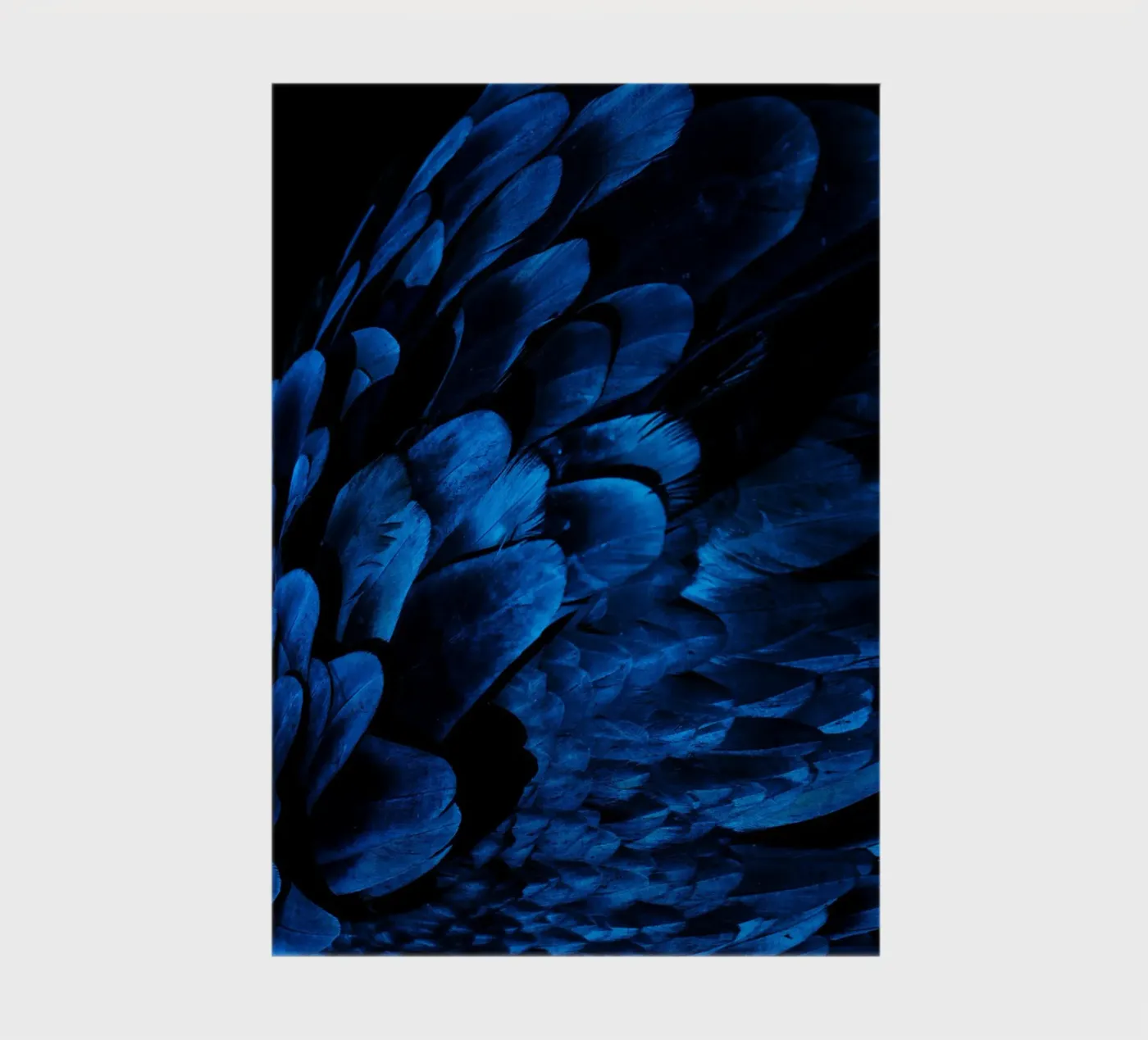 lucentezza del modello quaderno da Bleu