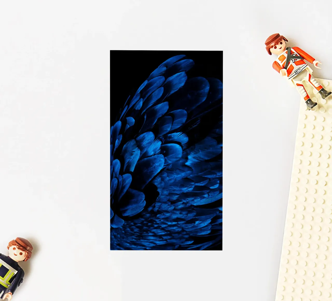 lucentezza del modello adesivo da Bleu