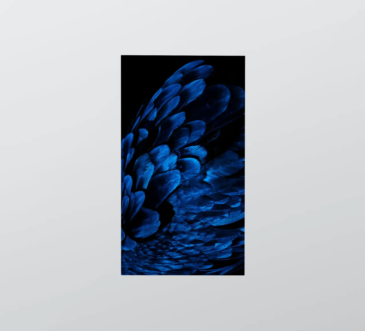 lucentezza del modello adesivo da Bleu