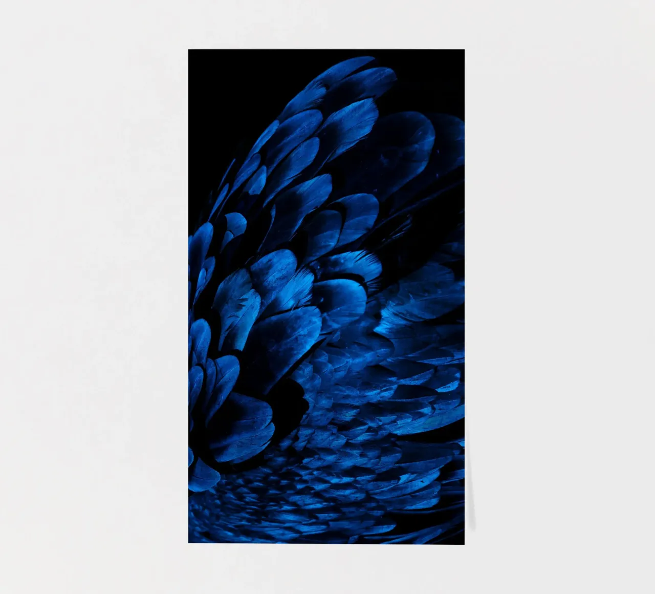 lucentezza del modello foglio adesivo da Bleu