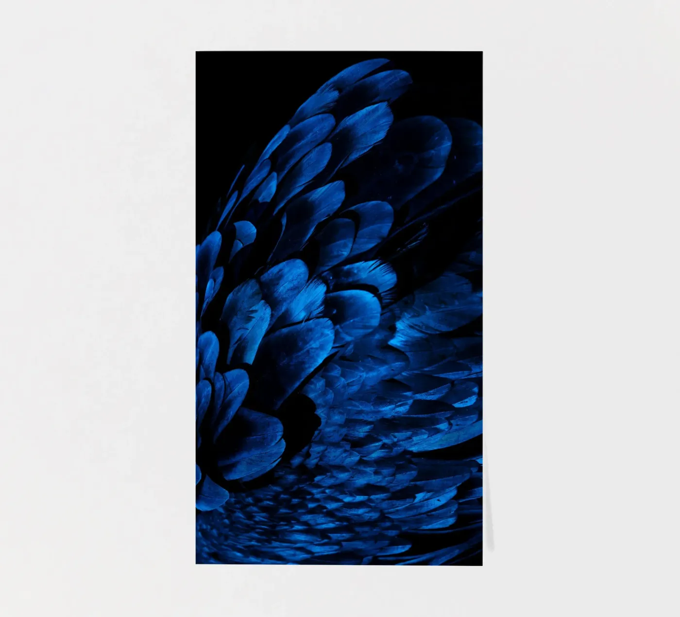 pattern shine sticker sheet by Bleu