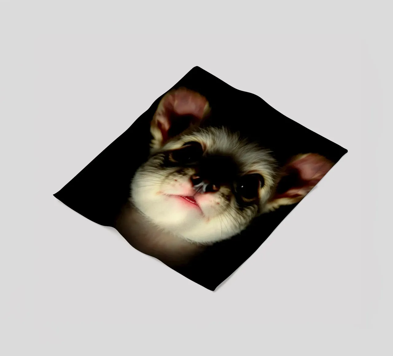Cute small and scary animal with big ears illuminated fleece blanket by DesignDoodle
