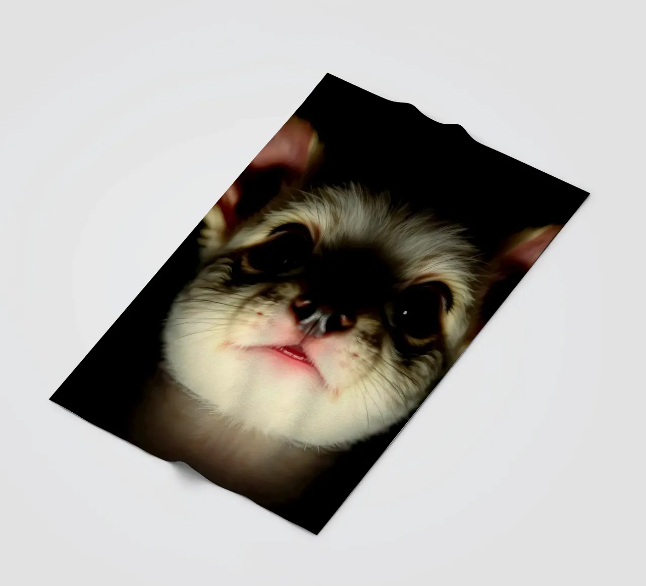 Cute small and scary animal with big ears illuminated fleece blanket by DesignDoodle