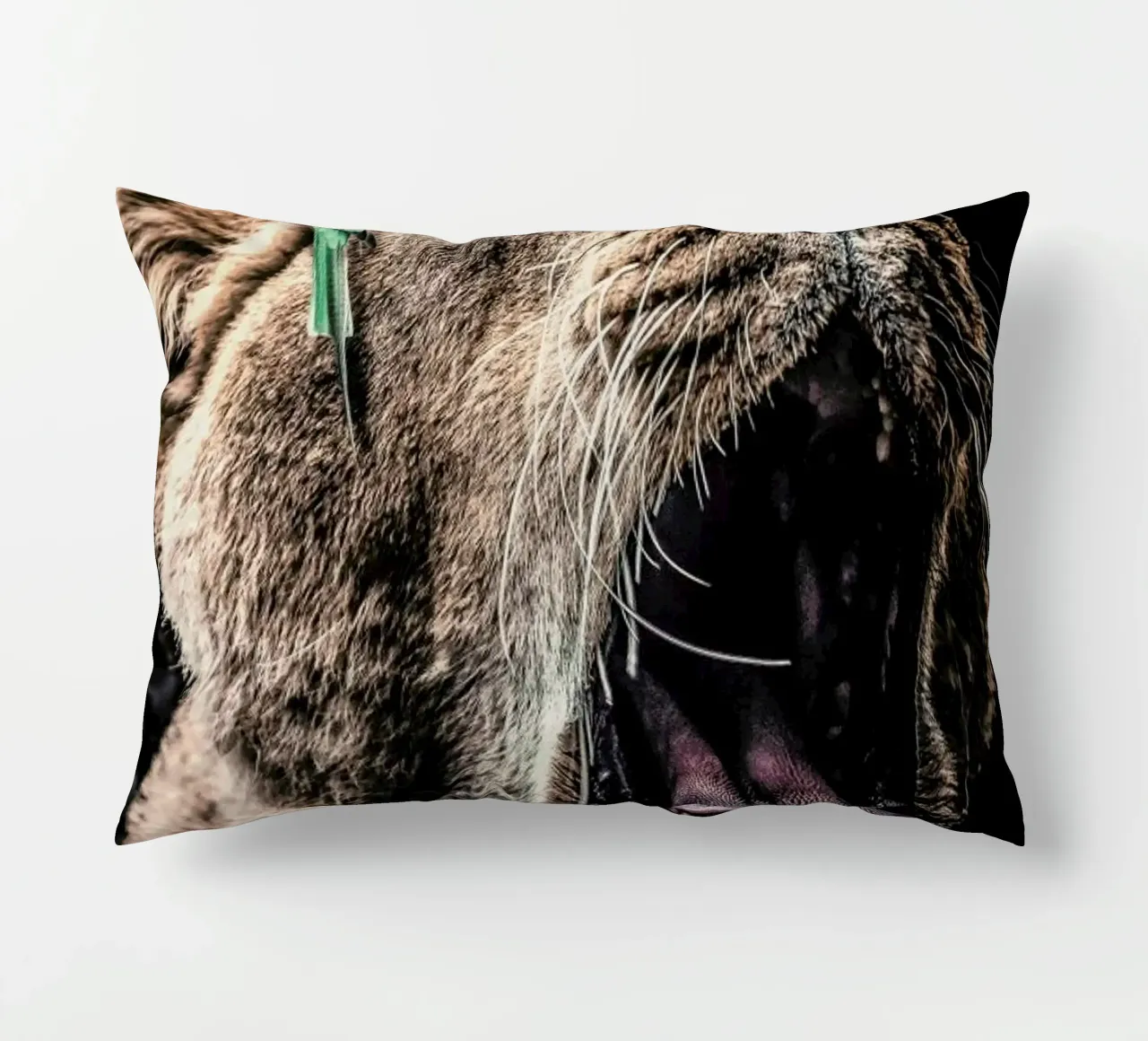 Lioness cuscino da Wouter Rikken