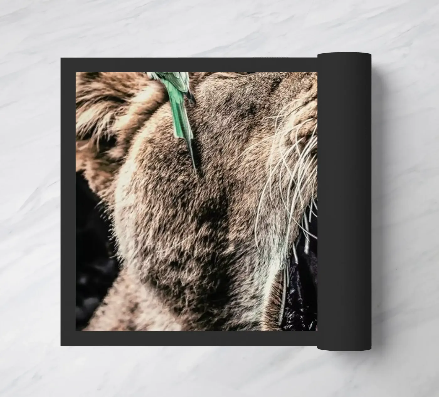 Lioness doormat by Wouter Rikken