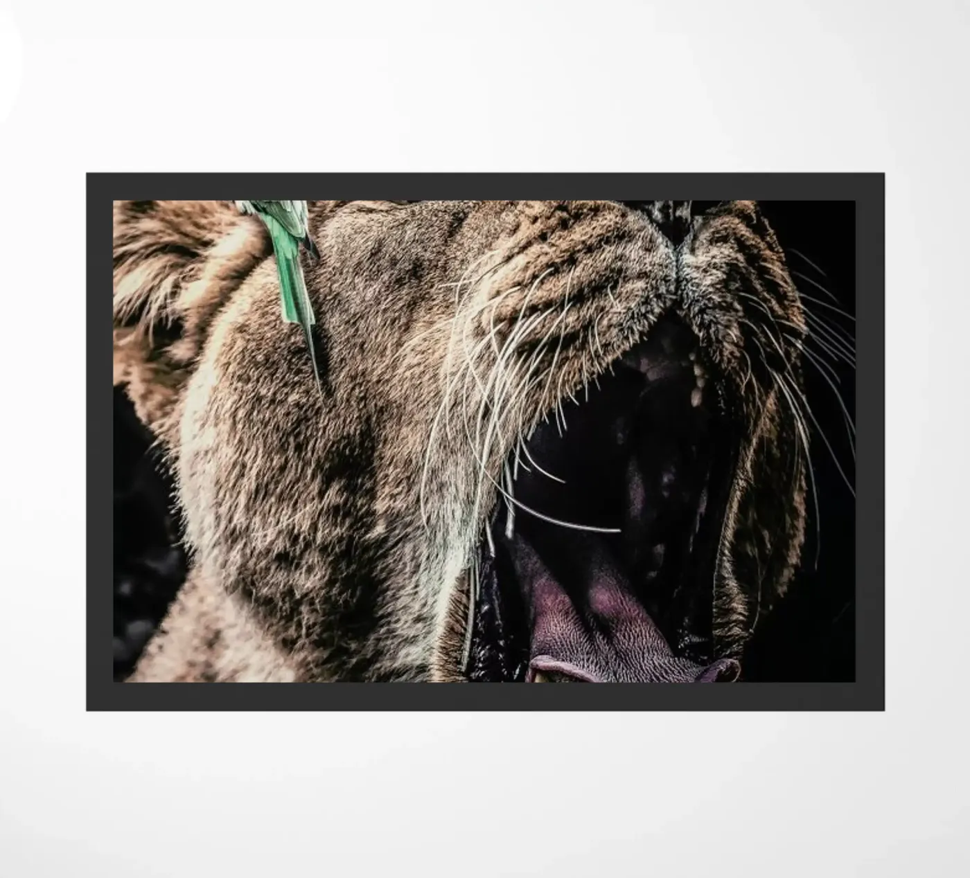Lioness doormat by Wouter Rikken