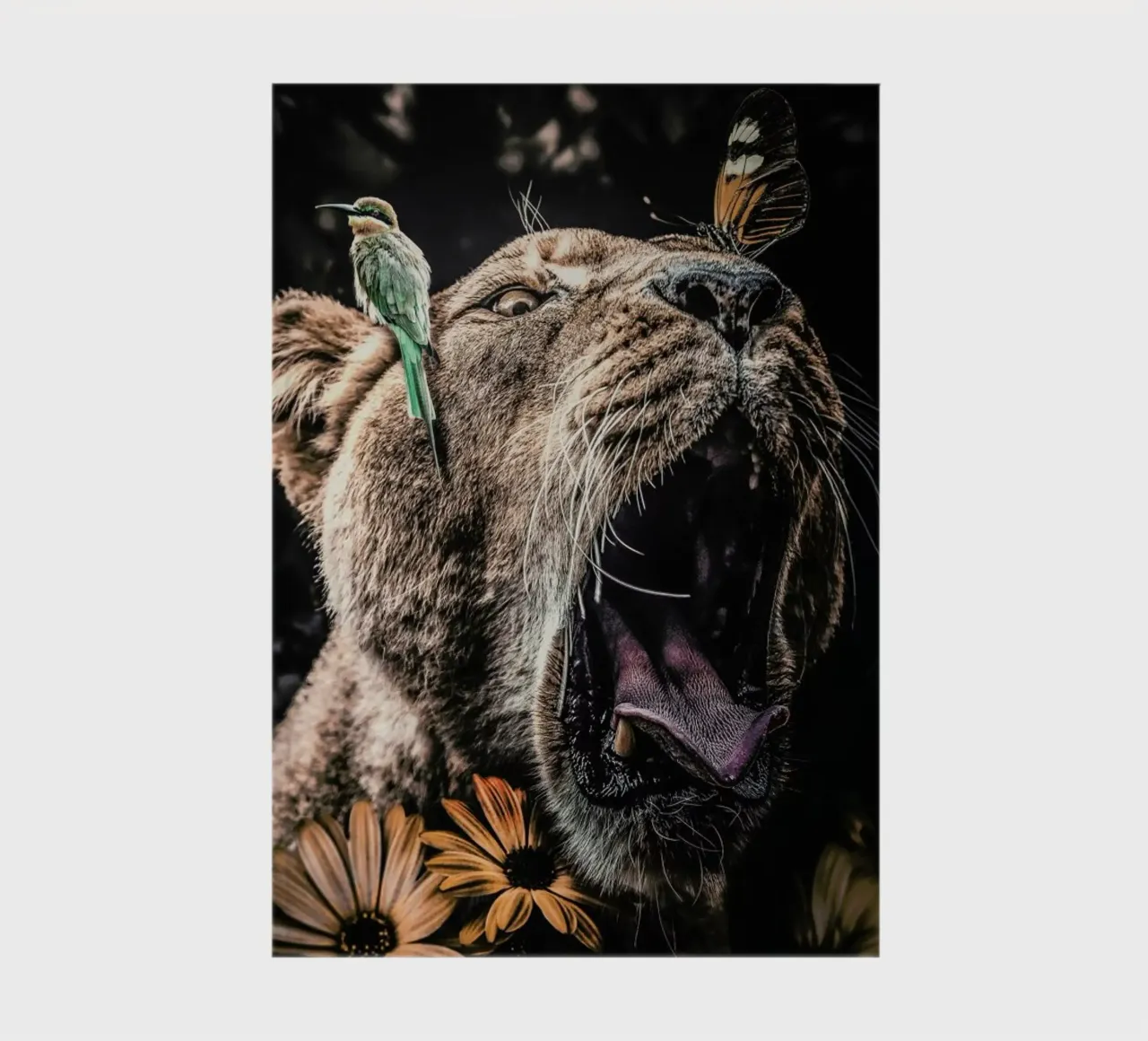Lioness notebook by Wouter Rikken