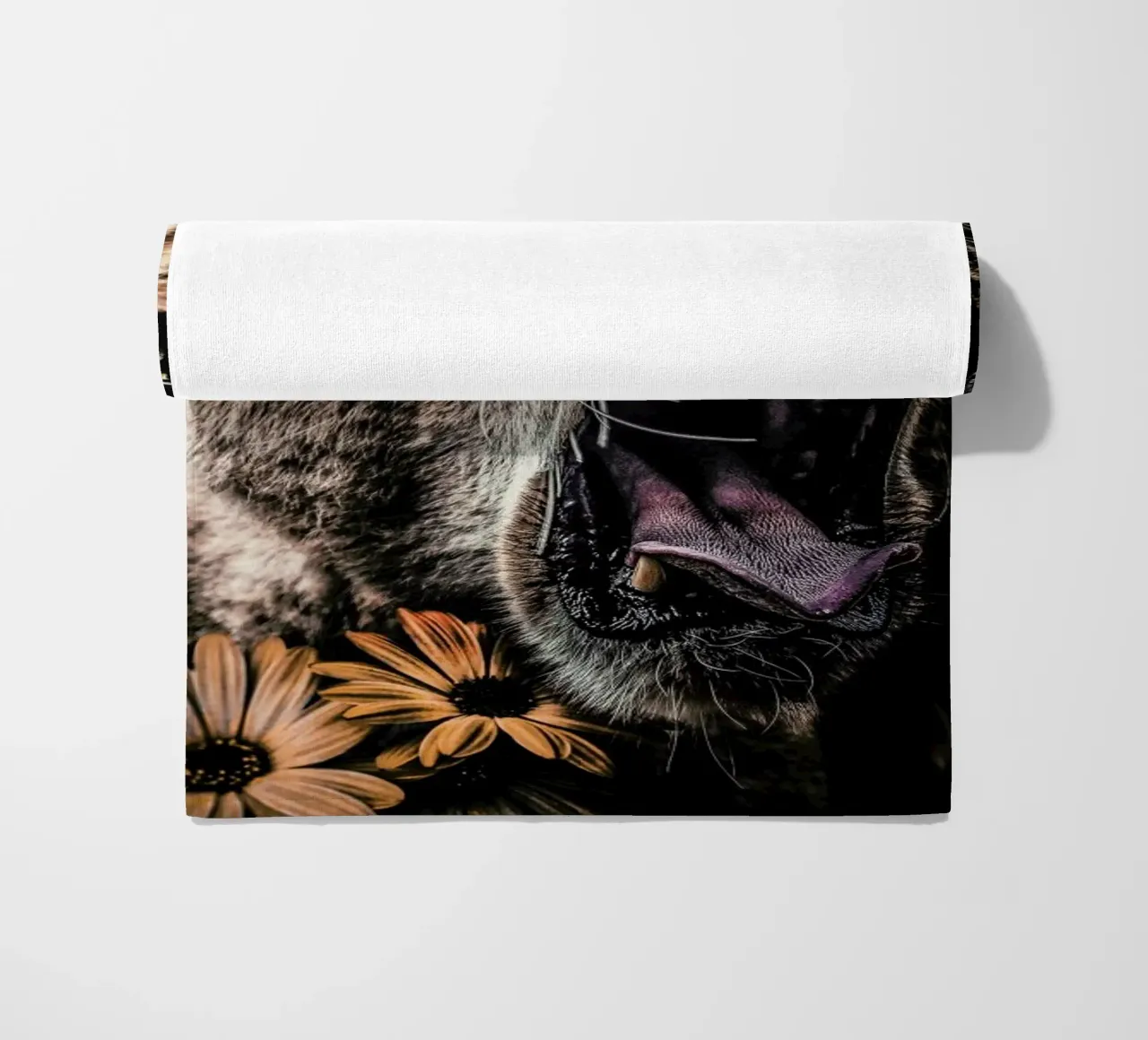 Lioness telo mare da Wouter Rikken