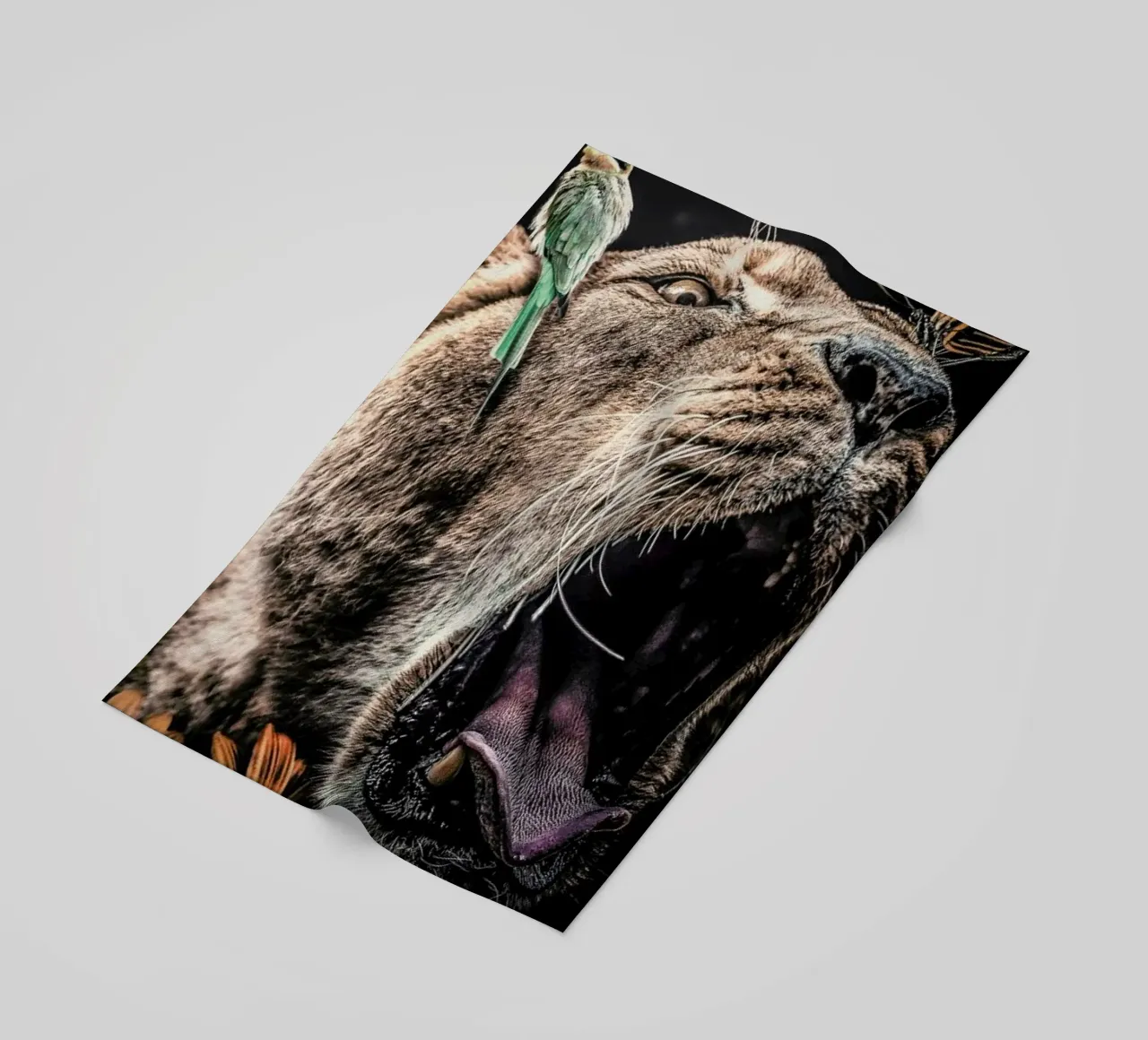 Lioness telo mare da Wouter Rikken