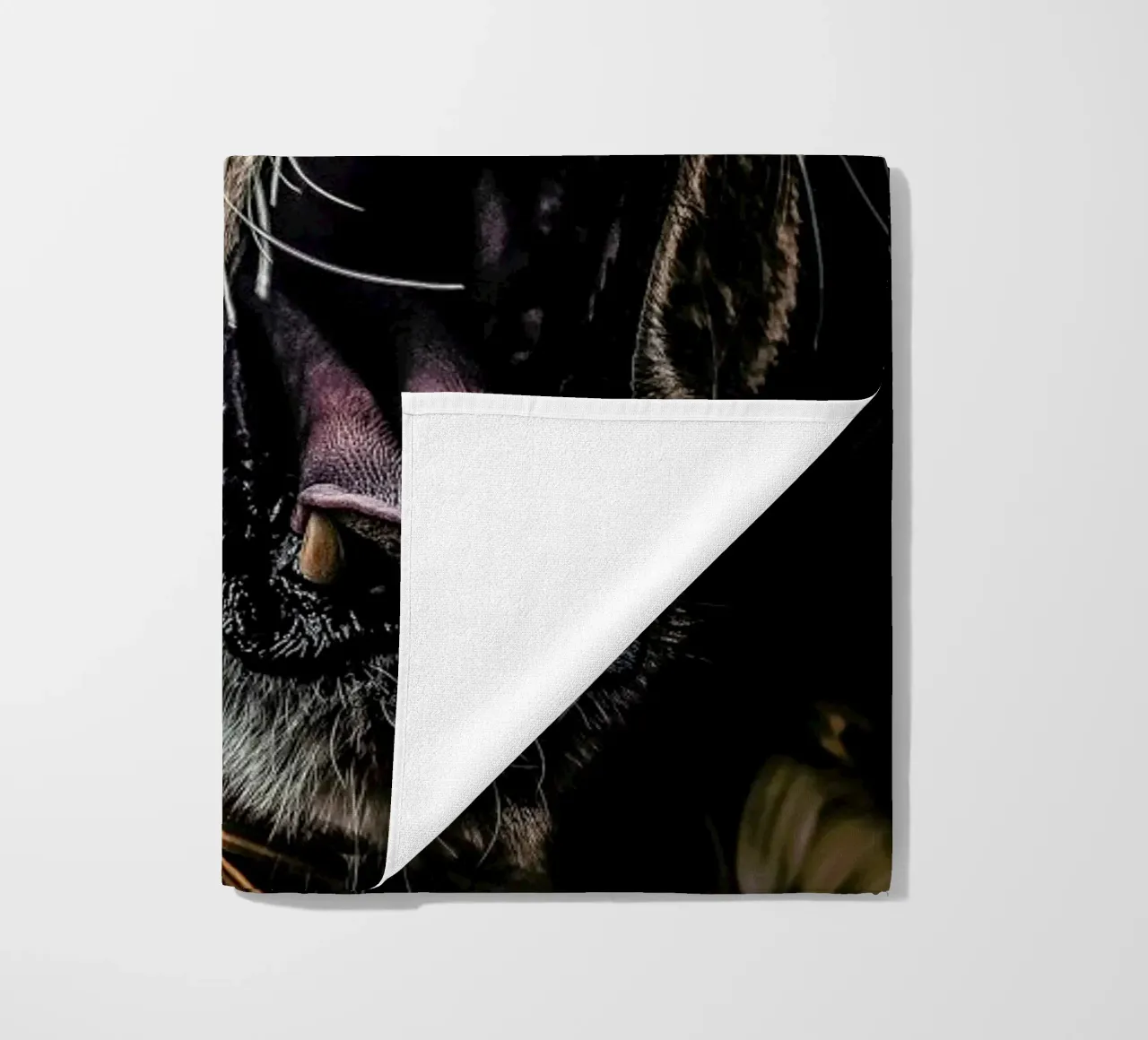 Lioness telo mare da Wouter Rikken