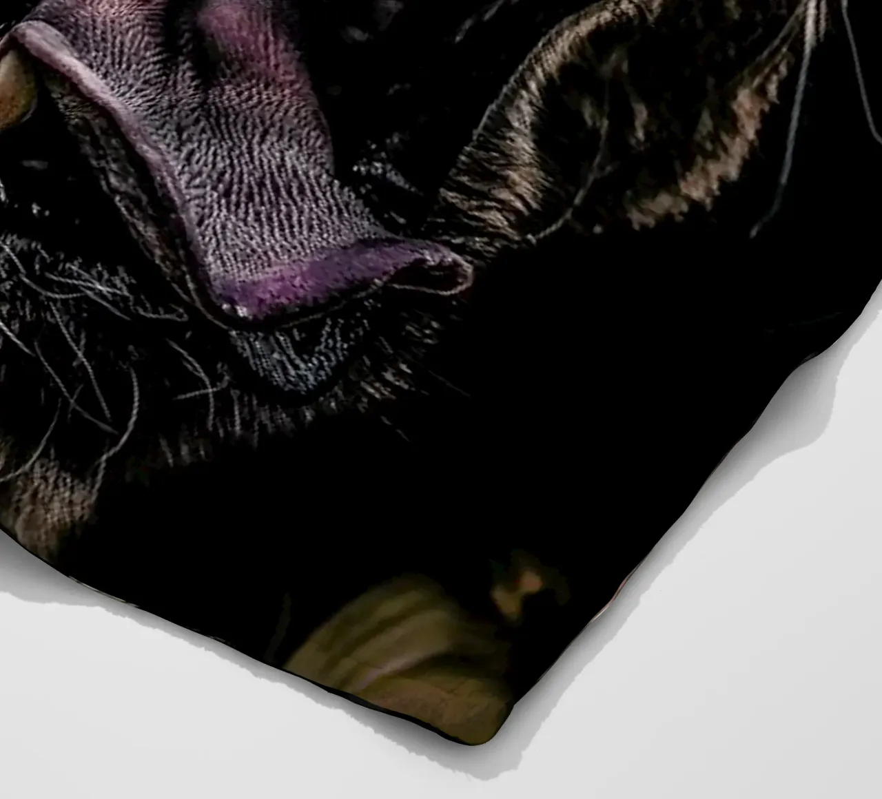 Lioness coperta in pile da Wouter Rikken