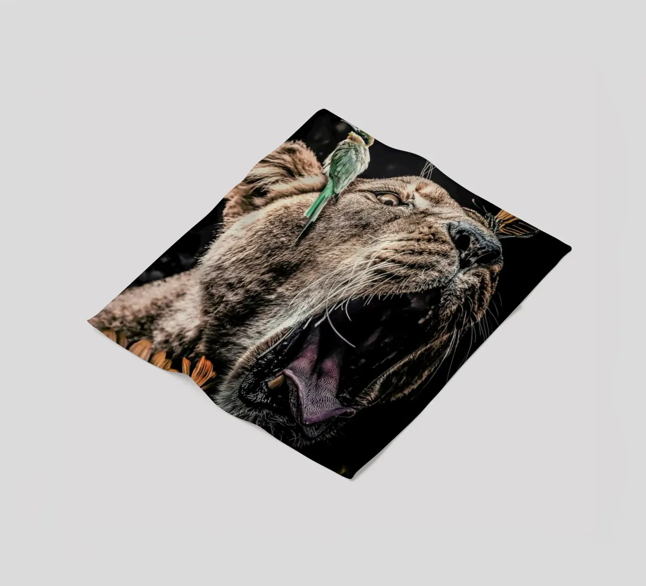 Lioness coperta in pile da Wouter Rikken