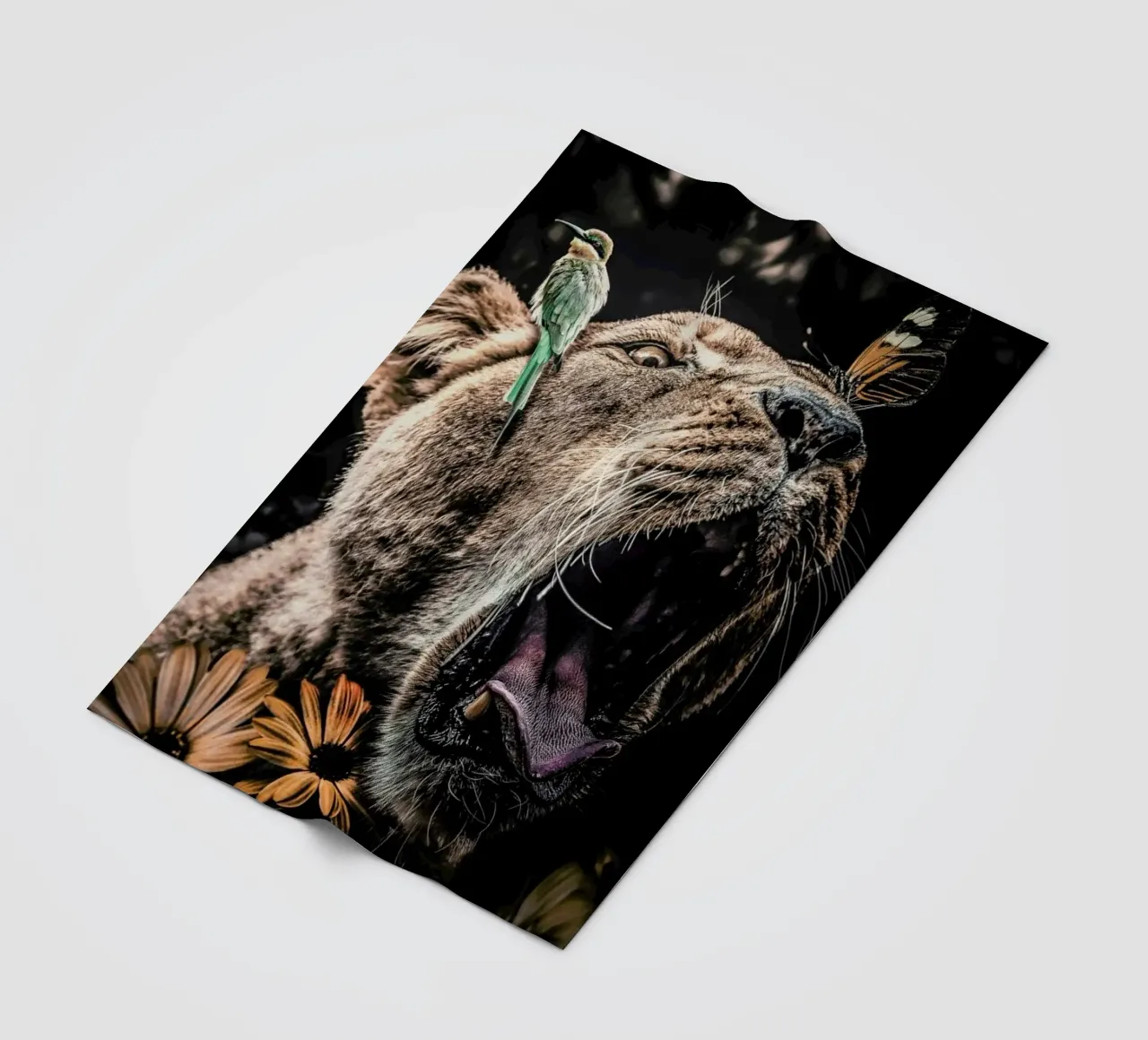 Lioness coperta in pile da Wouter Rikken