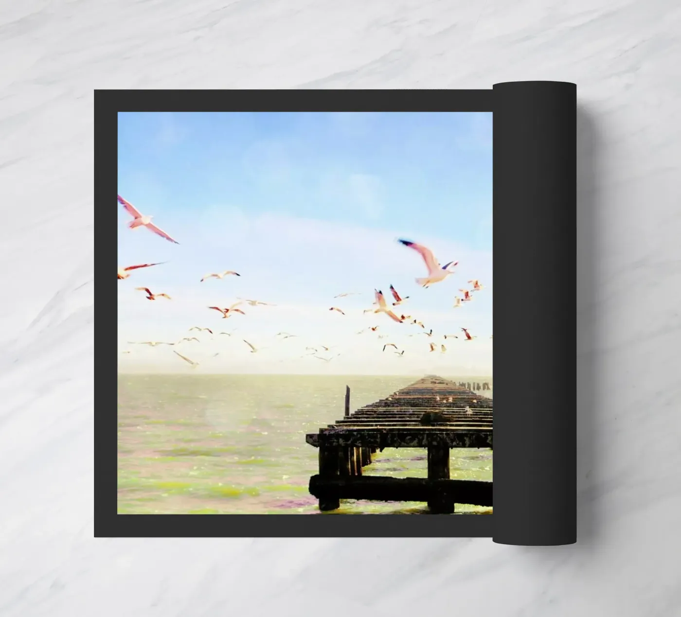 Berkeley Marina zerbino da Mina Teslaru