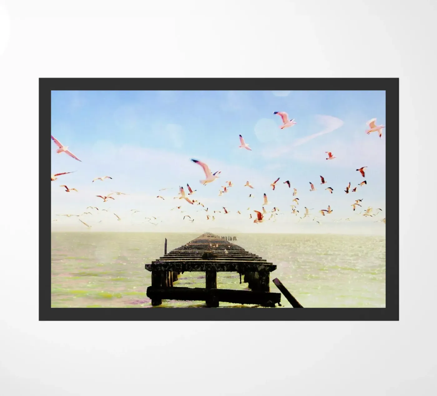 Berkeley Marina zerbino da Mina Teslaru