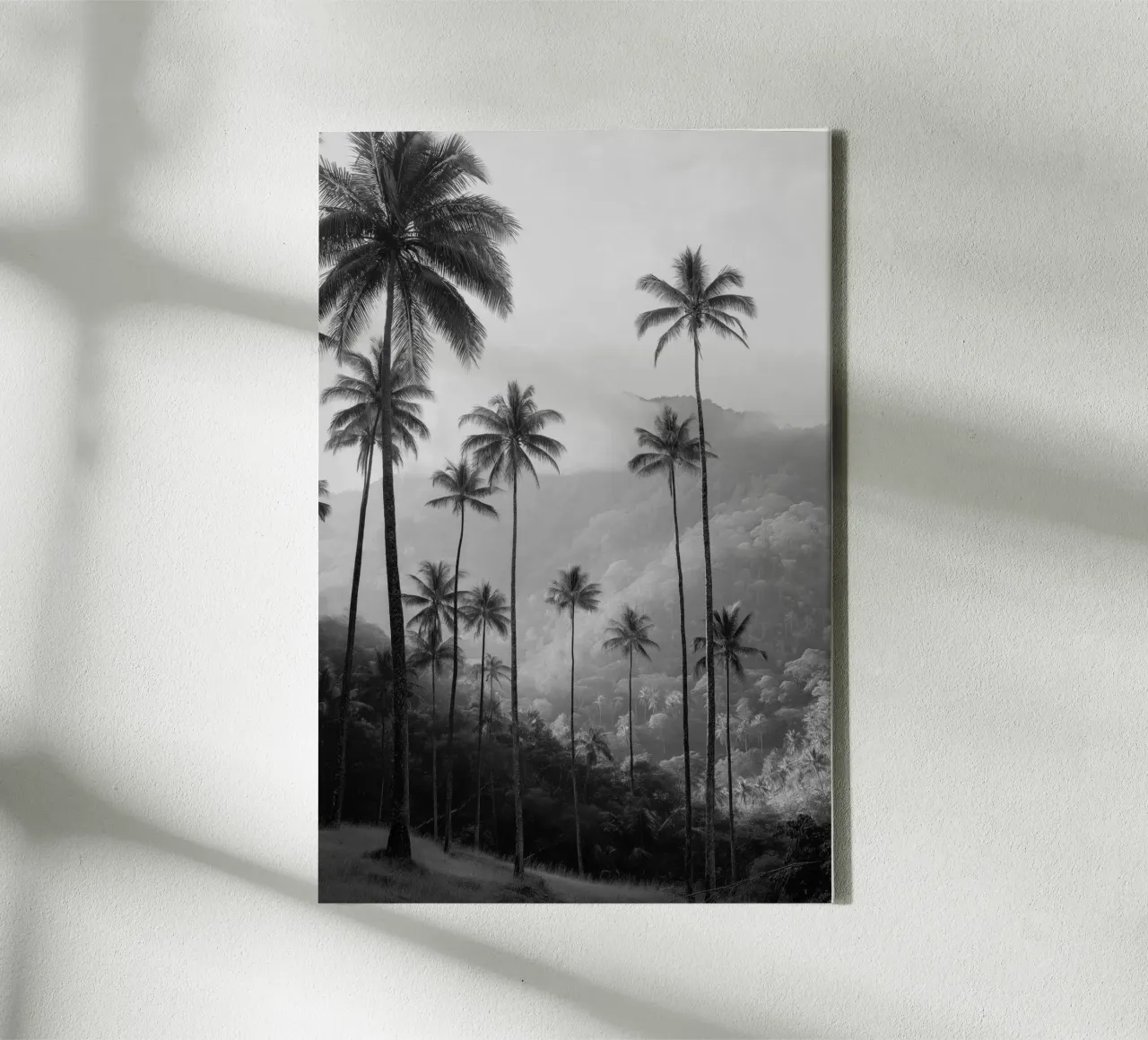 Palme in bianco e nero nella valle nebbiosa tela con Cornice a cassetta da Indigo Tides Art