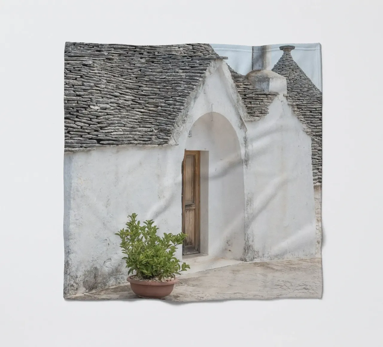 Potted plant and a trullo in Alberobello coperta in pile da photolovers