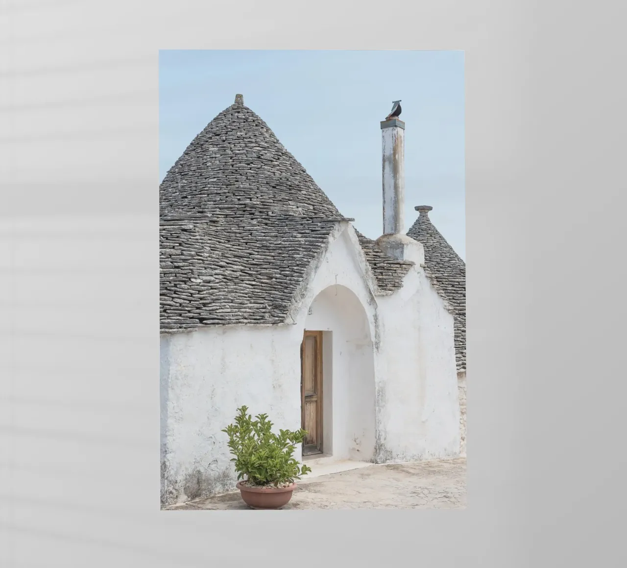 Potted plant and a trullo in Alberobello pellicola backlit da photolovers