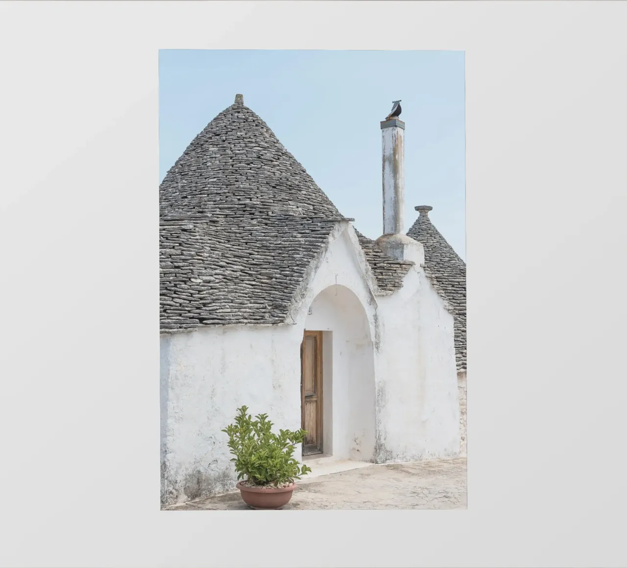 Potted plant and a trullo in Alberobello telo in pvc da photolovers