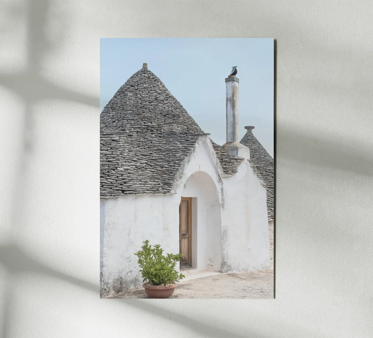 Potted plant and a trullo in Alberobello alluminio dibond da photolovers