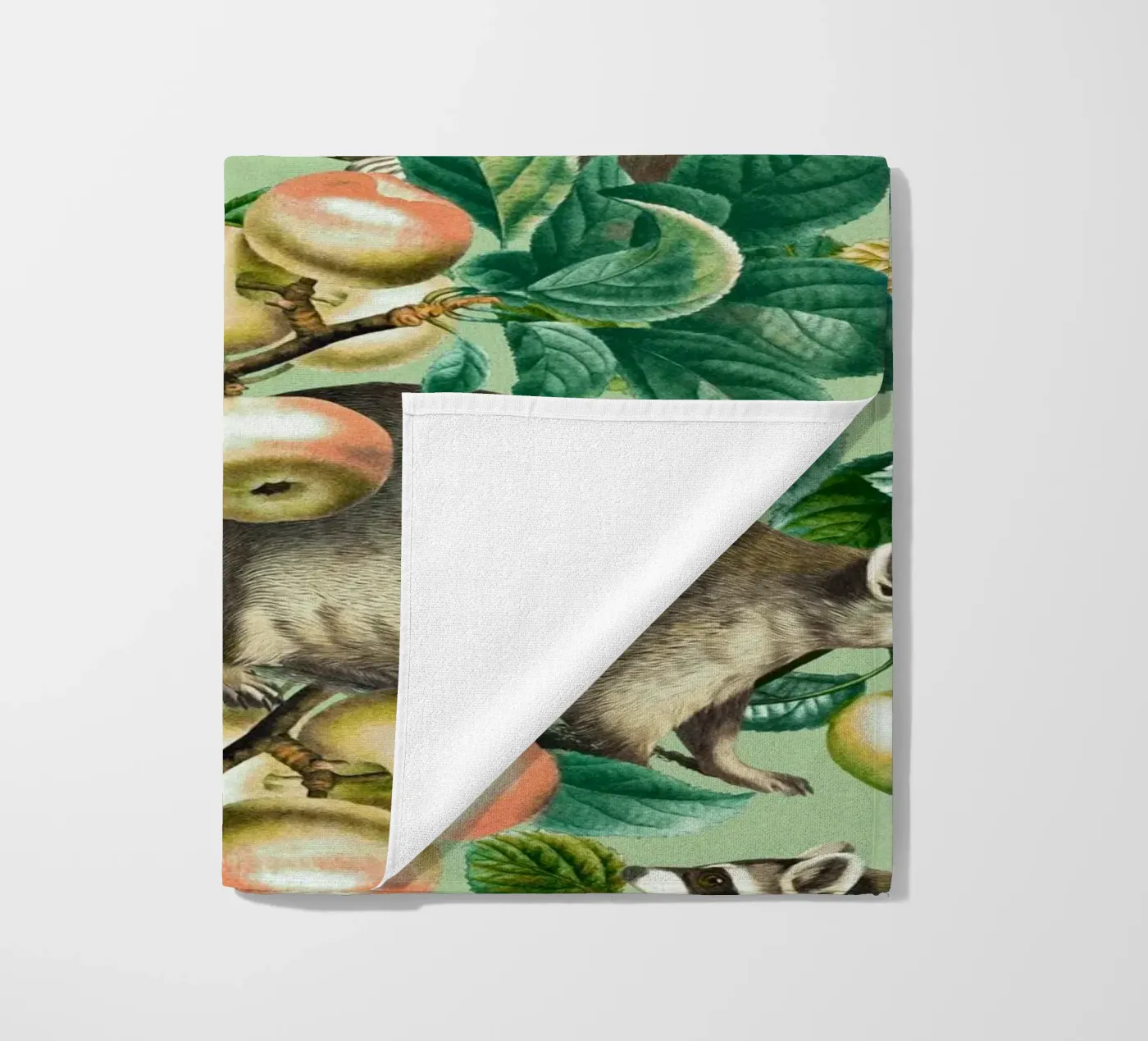 PROCIONE E FRUTTA telo mare da burcukorkmazyurek