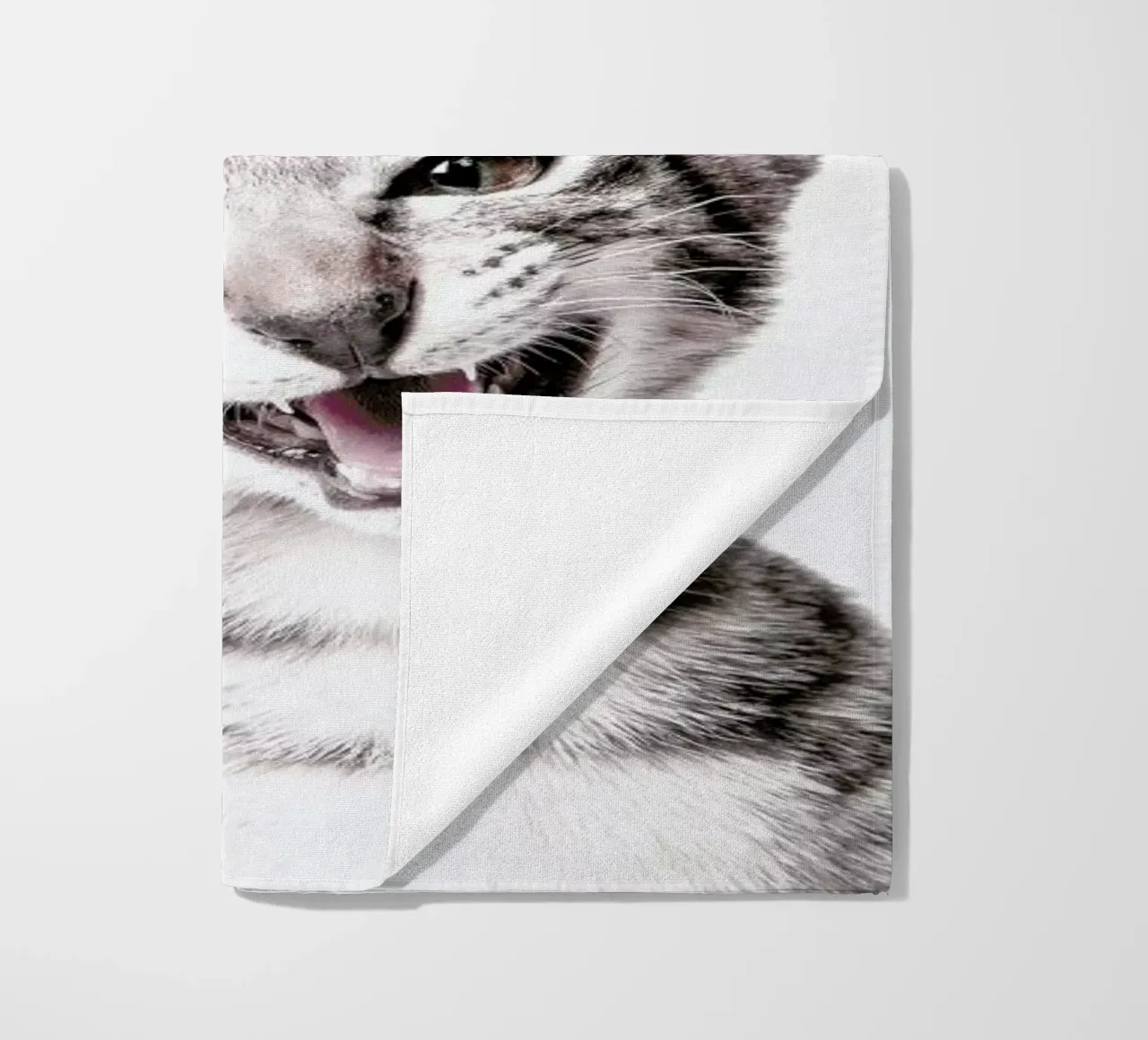 Little Cat telo mare da Wouter Rikken