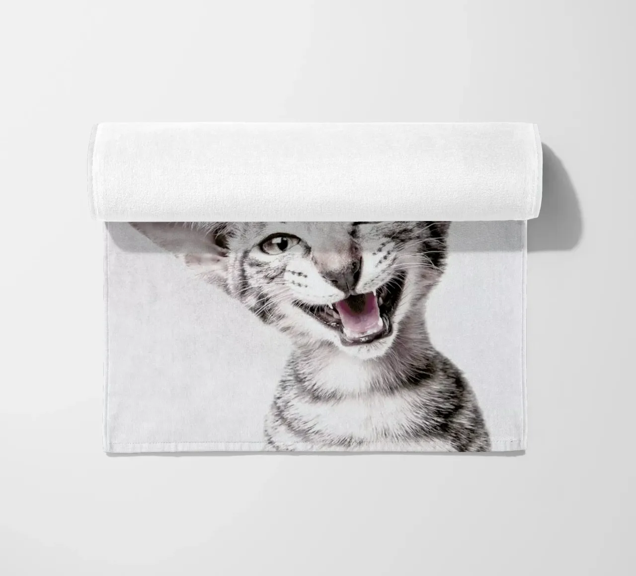 Little Cat telo mare da Wouter Rikken