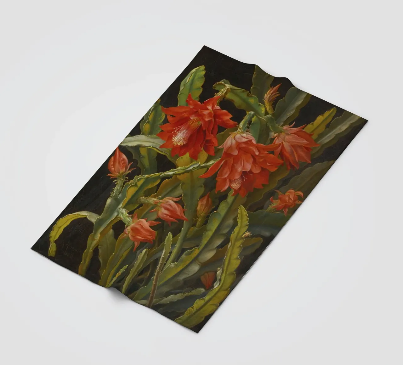 Cactus Flowers coperta in pile da vintageshop