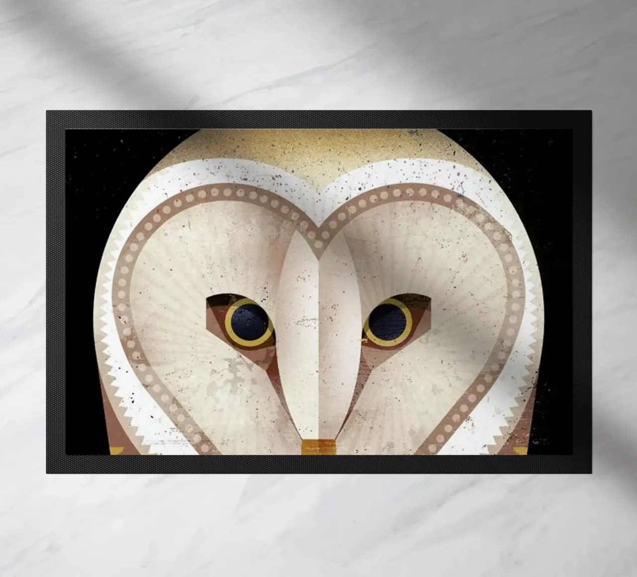 Barn Owl zerbino da Dieter Braun