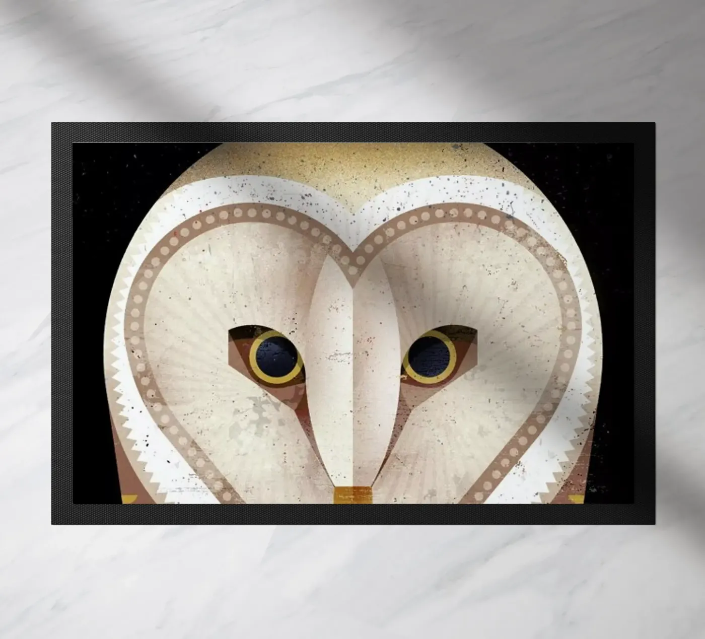 Barn Owl zerbino da Dieter Braun