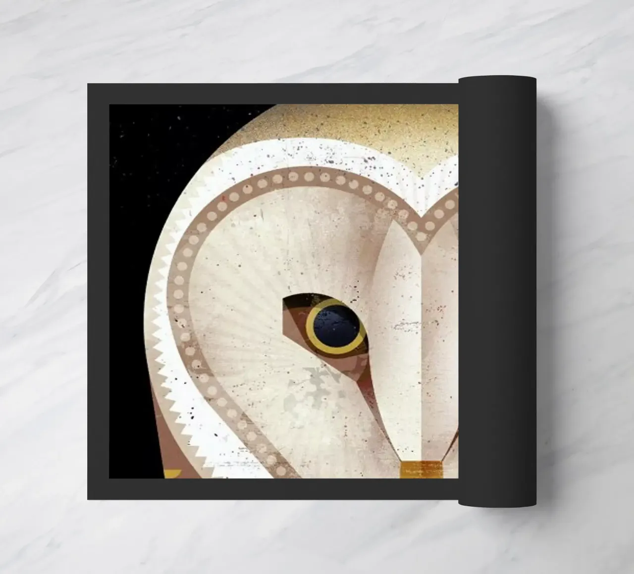 Barn Owl zerbino da Dieter Braun